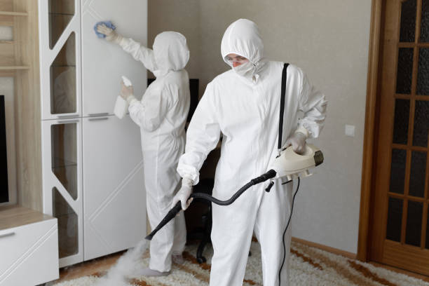 Best DIY Mold Remediation Support Services in New Hackensack, NY