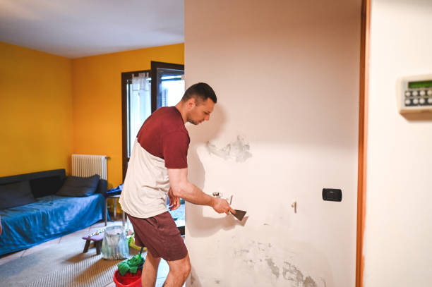 Best Health and Safety Mold Remediation in New Hackensack, NY